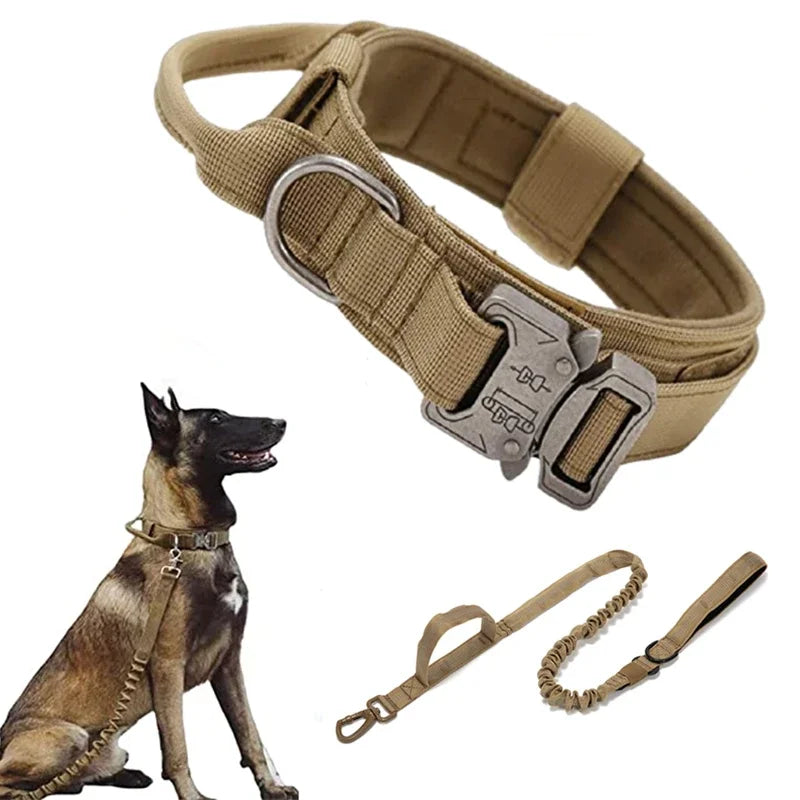 Durable Dog Collar (Optional Bungee Lead)