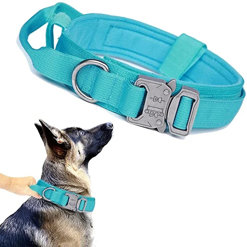 Durable Dog Collar (Optional Bungee Lead)