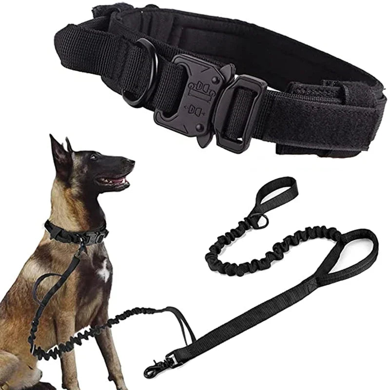 Durable Dog Collar (Optional Bungee Lead)