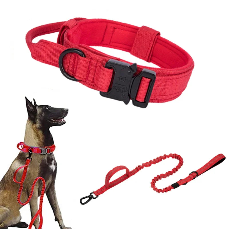 Durable Dog Collar (Optional Bungee Lead)