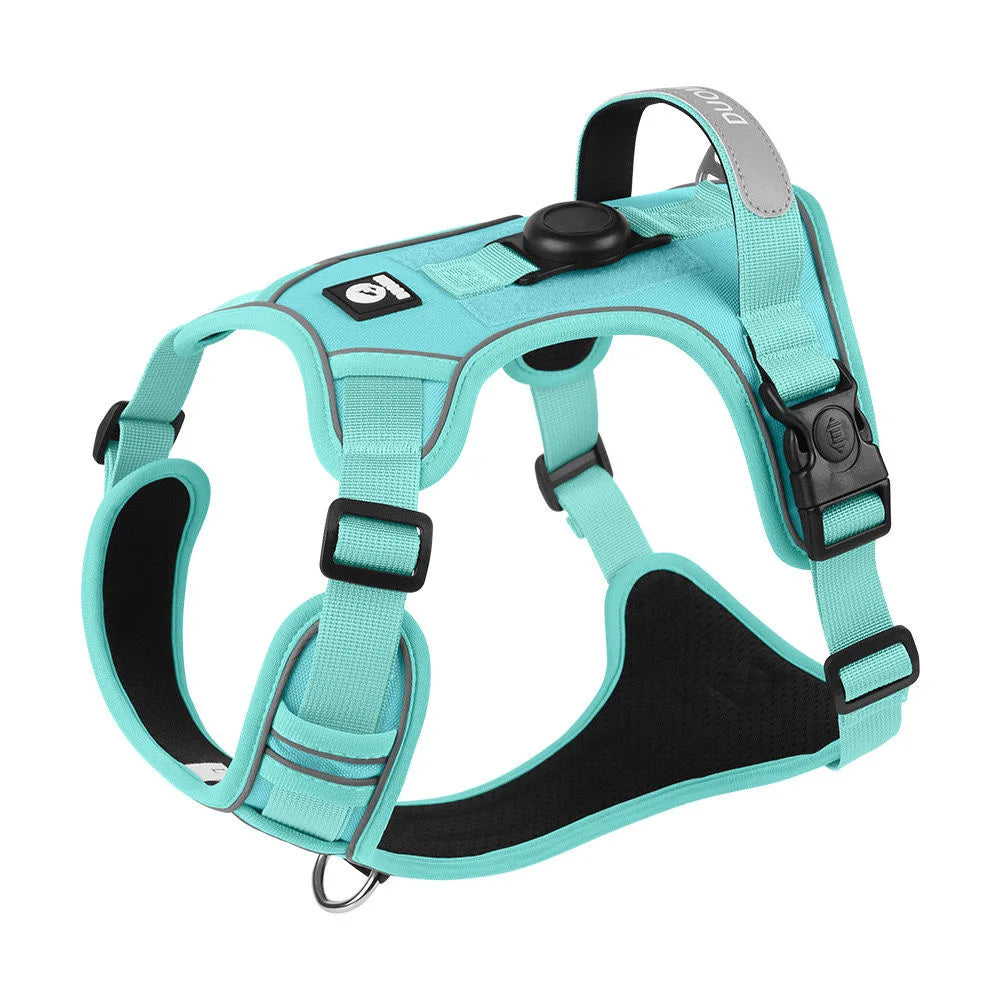 Dog Harness with Airtag Holder (Optional Heavy-Duty Lead)