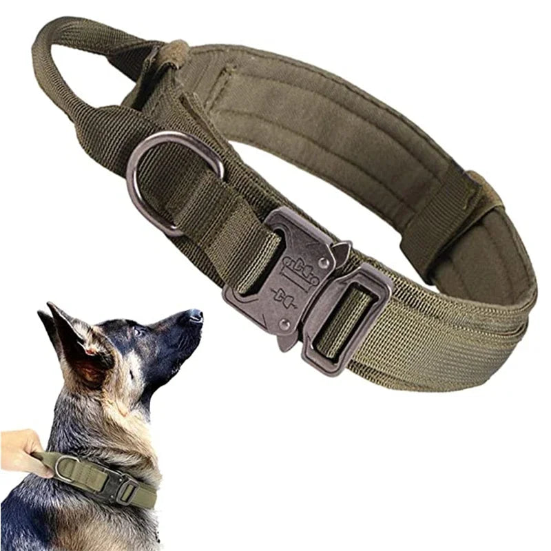 Durable Dog Collar (Optional Bungee Lead)