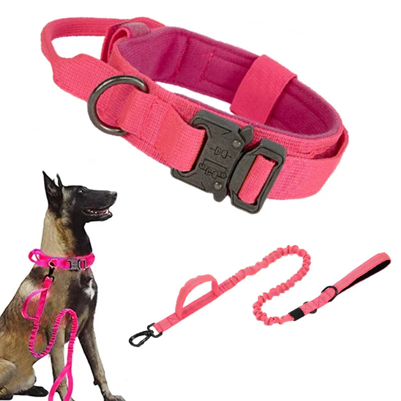 Durable Dog Collar (Optional Bungee Lead)