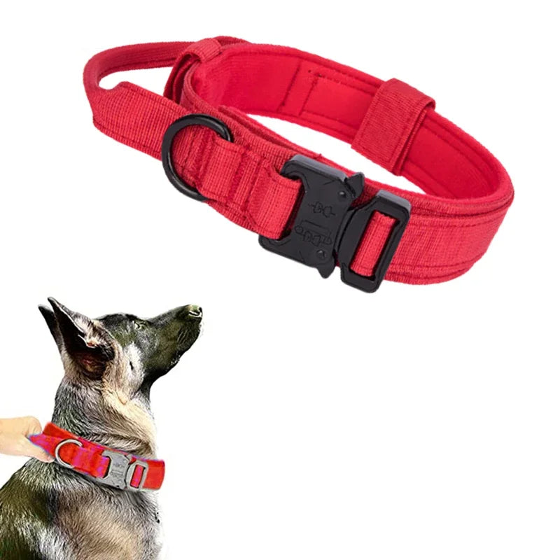 Durable Dog Collar (Optional Bungee Lead)