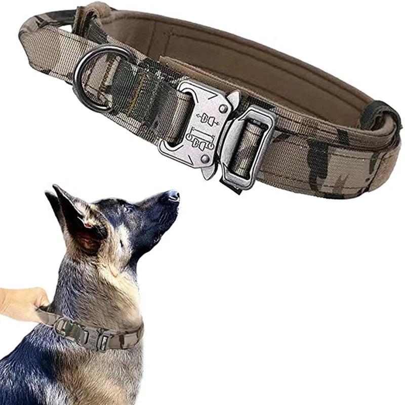 Durable Dog Collar (Optional Bungee Lead)