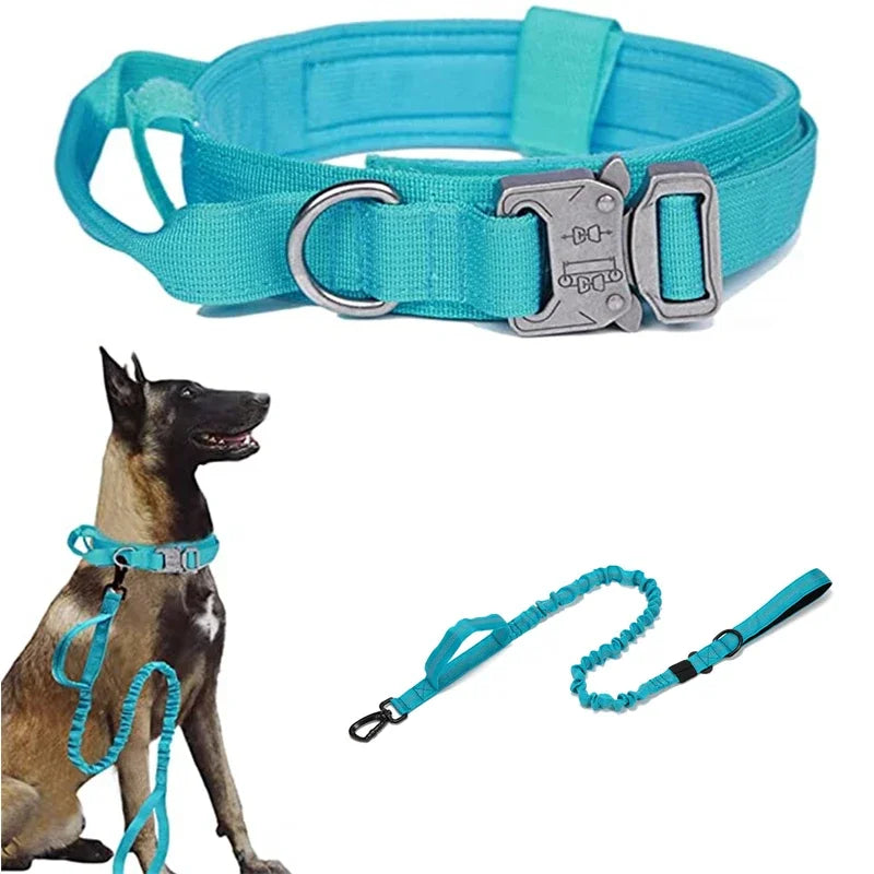 Durable Dog Collar (Optional Bungee Lead)