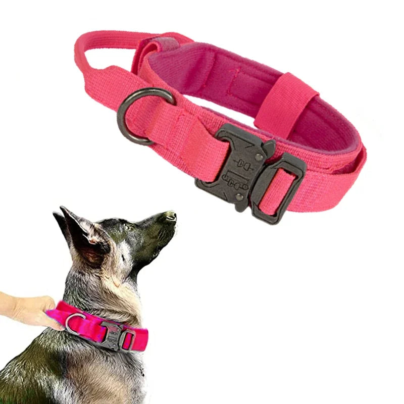 Durable Dog Collar (Optional Bungee Lead)