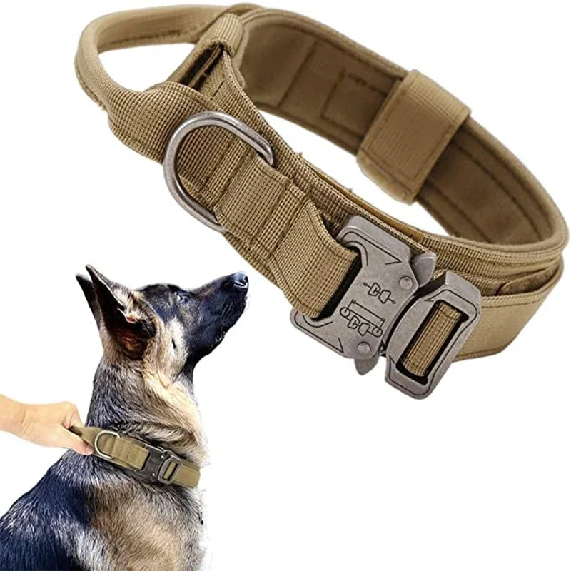 Durable Dog Collar (Optional Bungee Lead)