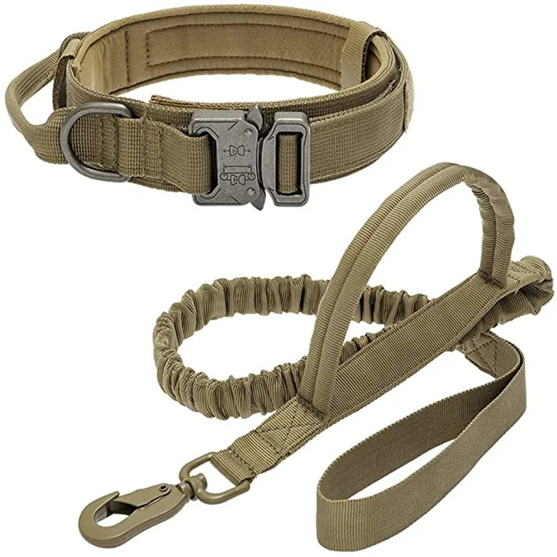 Durable Dog Collar (Optional Bungee Lead)