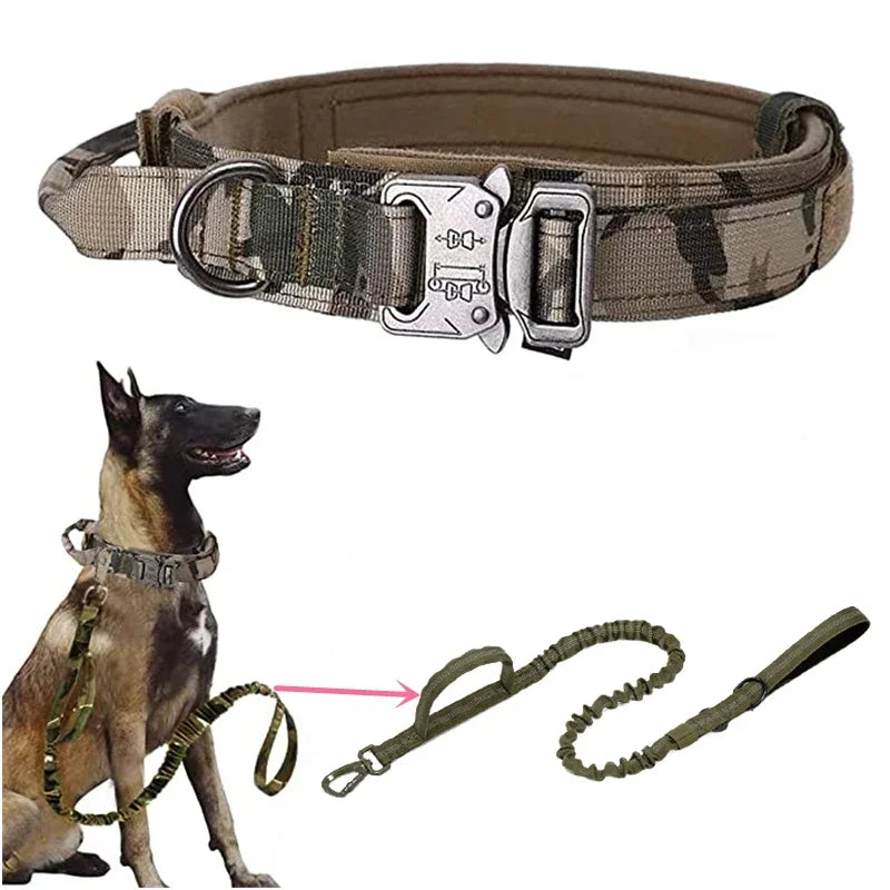 Durable Dog Collar (Optional Bungee Lead)