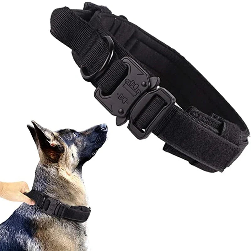 Durable Dog Collar (Optional Bungee Lead)