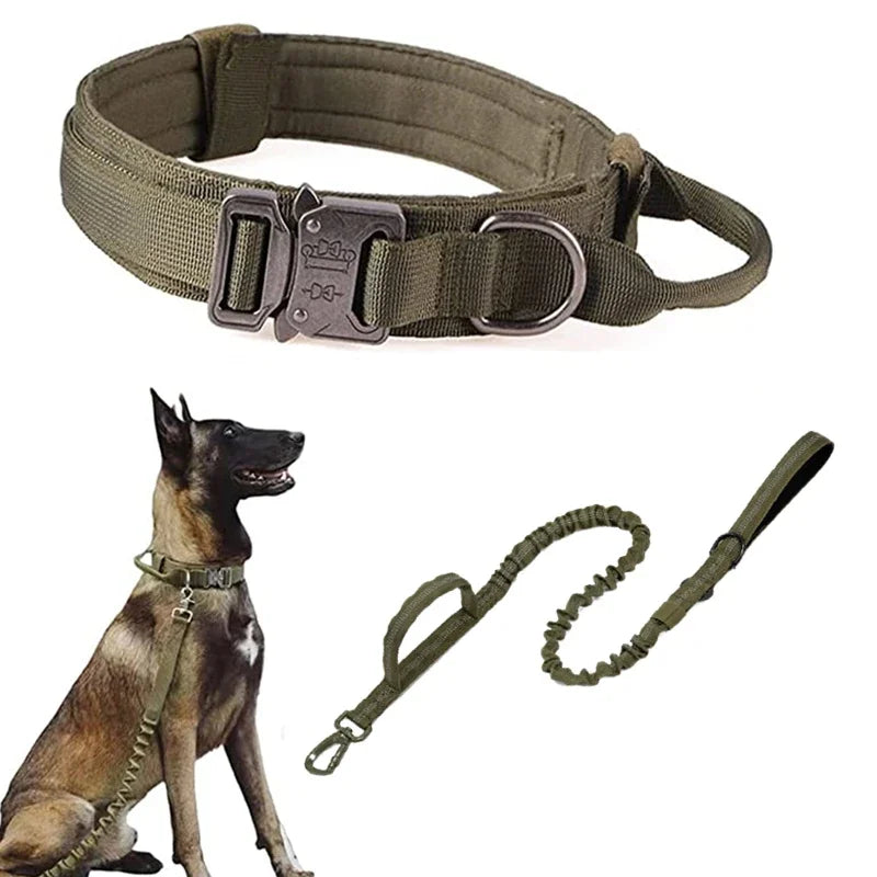 Durable Dog Collar (Optional Bungee Lead)